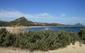 I Gigli del mare